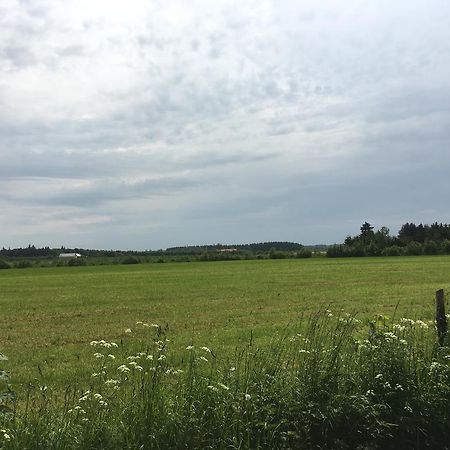 Skovhuset Villa Uggerby Bagian luar foto